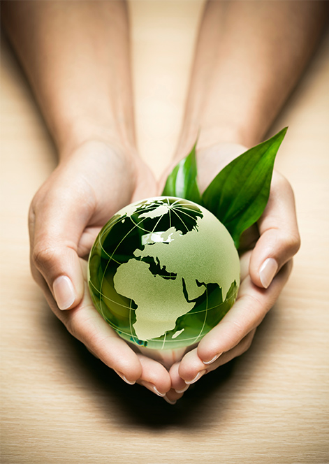 Sustentabilidade